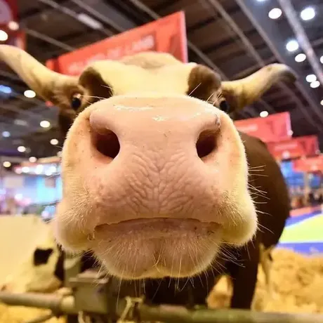 Salon de l’agriculture parking